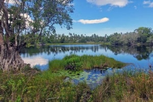 Isola di Mafia: Faro settentrionale e safari degli ippopotami