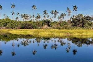 Mafia Island: Northern Lighthouse & Hippo Safari Tour