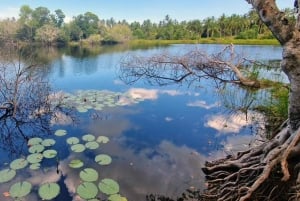 Mafia Island: Northern Lighthouse & Hippo Safari Tour