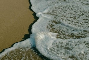 Mafia Island: Sefu Sandbank snorkeltur med lunsj