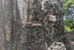 Makunduchi Village: Kultur- och andlig tur med lunch