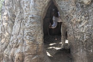 Makunduchi Village: Kultur- och andlig tur med lunch