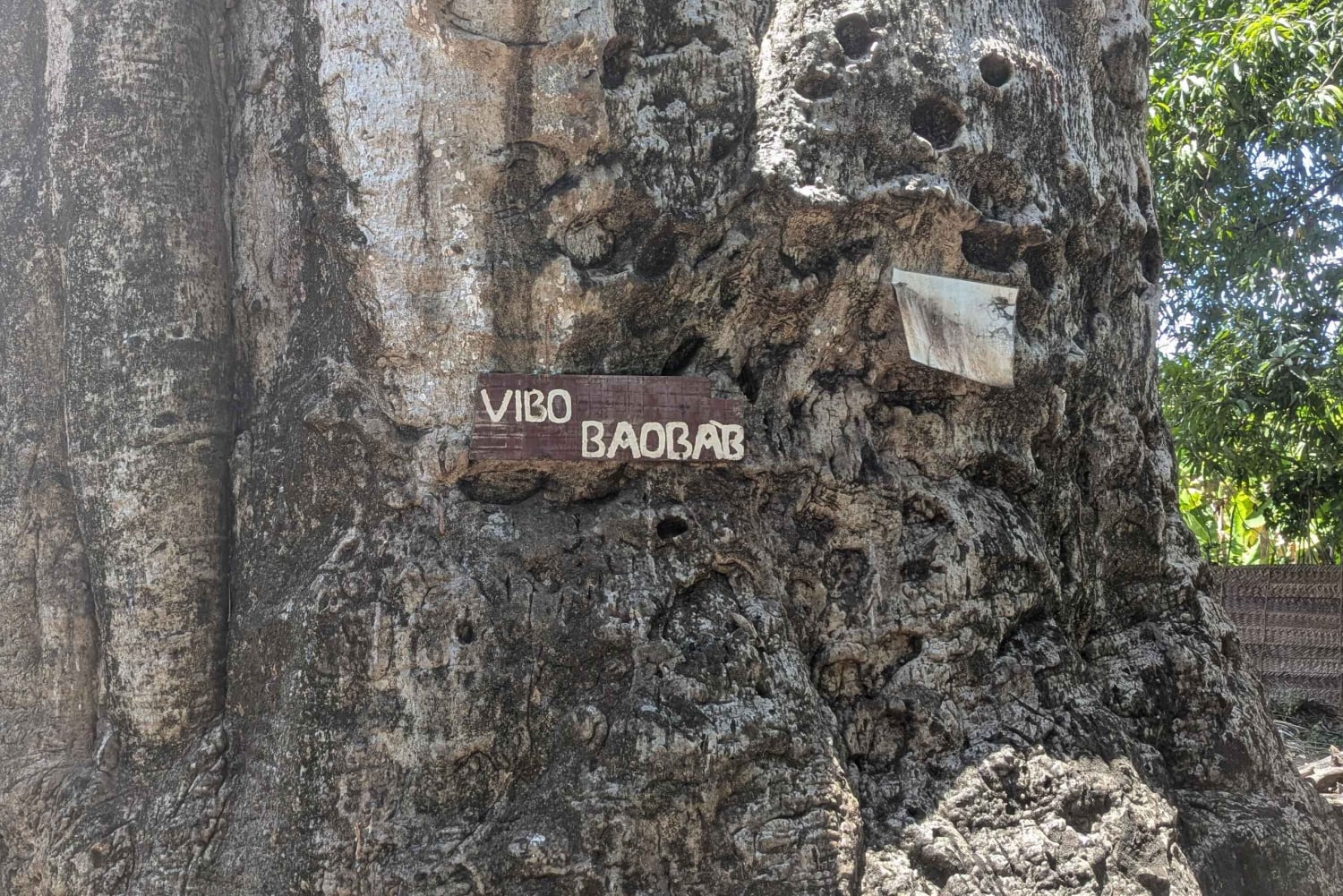 Makunduchi Village: Kultur- och andlig tur