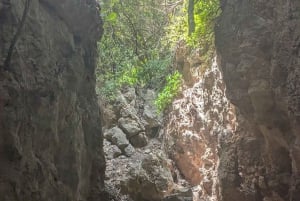 Makunduchi Village: Kultur- och andlig tur