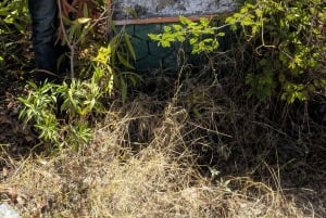 Makunduchi Village: Kultur- och andlig tur