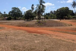 Makunduchi Village: Kultur- och andlig tur