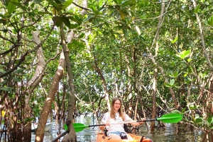 ウジ島のマングローブ林カヤックツアーと村ツアーをご案内します