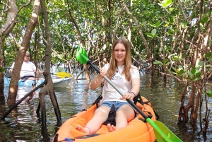 ウジ島のマングローブ林カヤックツアーと村ツアーをご案内します