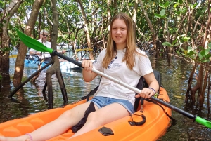 ウジ島のマングローブ林カヤックツアーと村ツアーをご案内します