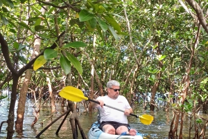 ウジ島のマングローブ林カヤックツアーと村ツアーをご案内します