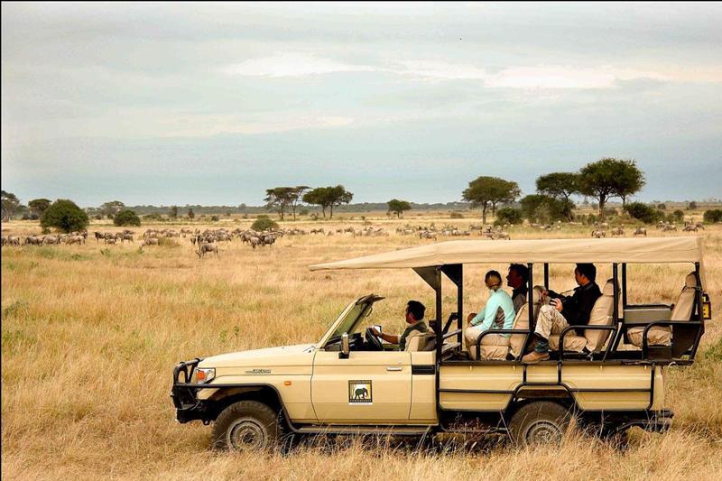 Manyara Ranch Conservancy