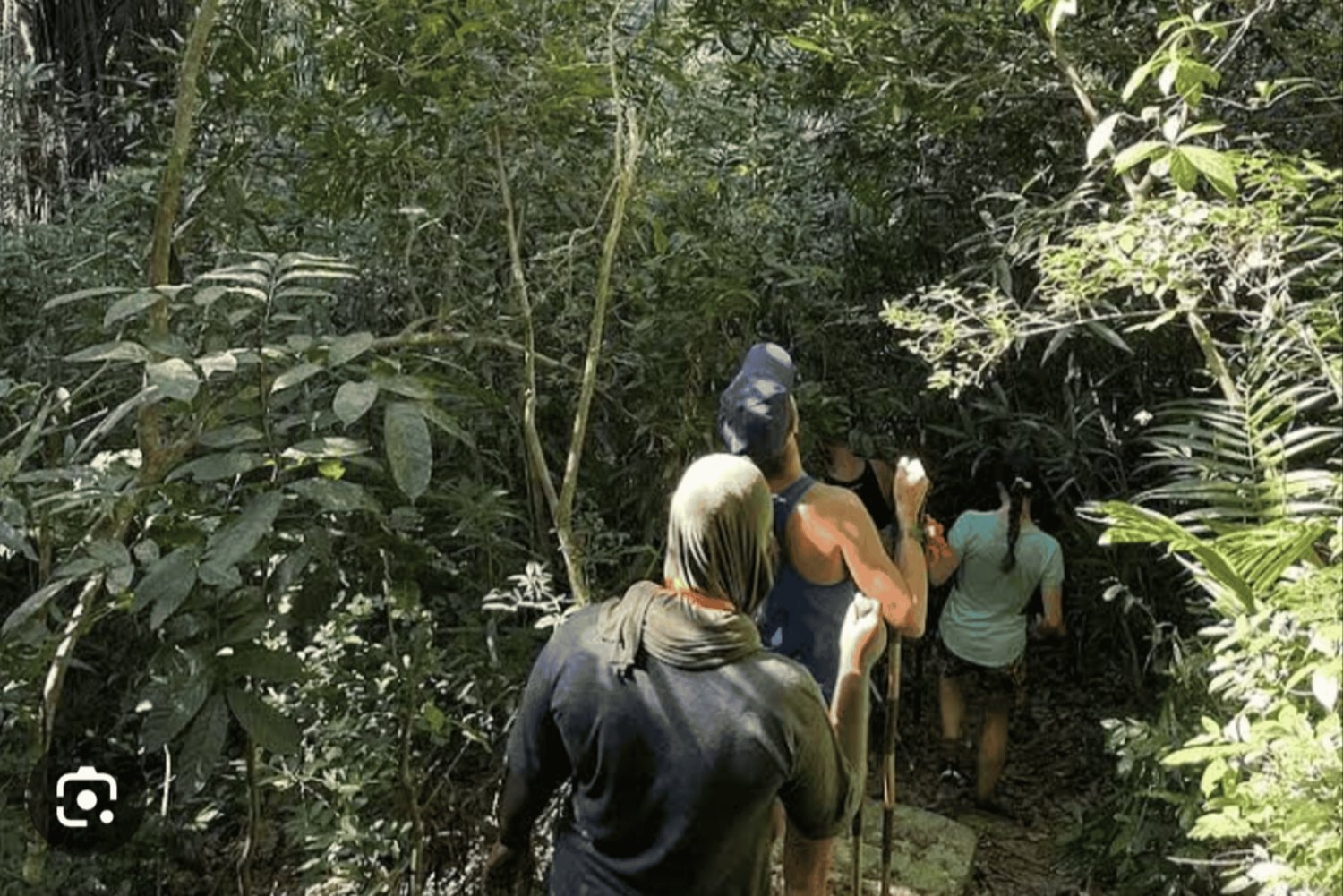 Escursione nella foresta di Masingini, zipline, tour della fattoria delle spezie e pranzo