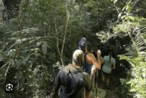 Masinginin metsävaellus, köysirata, maustefarmikierros ja lounas