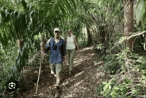 Masinginin metsävaellus, köysirata, maustefarmikierros ja lounas