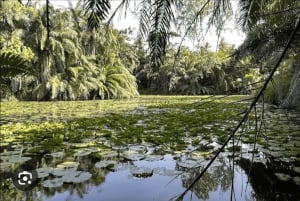 Masinginin metsävaellus, köysirata, maustefarmikierros ja lounas