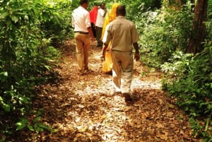 Masinginin metsävaellus, köysirata, maustefarmikierros ja lounas