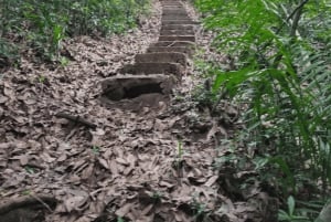 Masinginin metsävaellus, köysirata, maustefarmikierros ja lounas