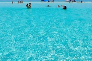 Matemwe: Passeio de barco para ver golfinhos e fazer snorkeling na Ilha Mnemba