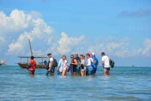 Matemwe: Passeio de barco para ver golfinhos e fazer snorkeling na Ilha Mnemba