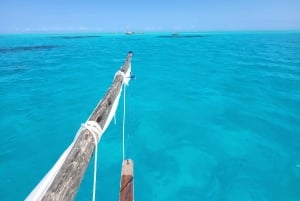 Matemwe: Passeio de barco para ver golfinhos e fazer snorkeling na Ilha Mnemba