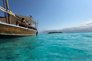 Matemwe: Passeio de barco para ver golfinhos e fazer snorkeling na Ilha Mnemba