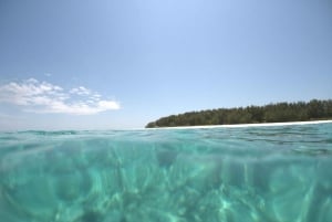 Matemwe: Passeio de barco para ver golfinhos e fazer snorkeling na Ilha Mnemba