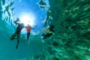 Matemwe: Passeio de barco para ver golfinhos e fazer snorkeling na Ilha Mnemba