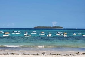 Matemwe: Passeio de barco para ver golfinhos e fazer snorkeling na Ilha Mnemba