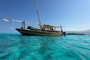 Matemwe: Passeio de barco para ver golfinhos e fazer snorkeling na Ilha Mnemba