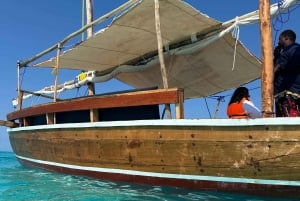 Matemwe: Passeio de barco para ver golfinhos e fazer snorkeling na Ilha Mnemba