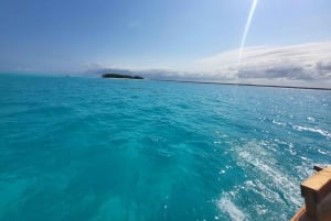 Matemwe: Passeio de barco para ver golfinhos e fazer snorkeling na Ilha Mnemba