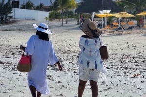Matemwe: Passeio de barco para ver golfinhos e fazer snorkeling na Ilha Mnemba