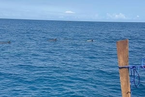 Matemwe: Passeio de barco para ver golfinhos e fazer snorkeling na Ilha Mnemba