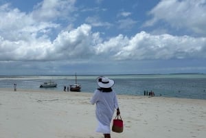 Matemwe: Passeio de barco para ver golfinhos e fazer snorkeling na Ilha Mnemba