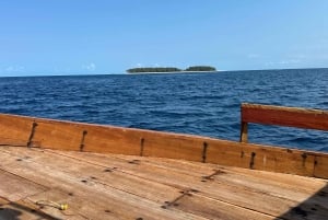 Matemwe: Passeio de barco para ver golfinhos e fazer snorkeling na Ilha Mnemba