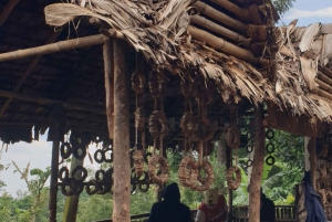 Cascada de Materuni, visita al café y fuentes termales de Chemka