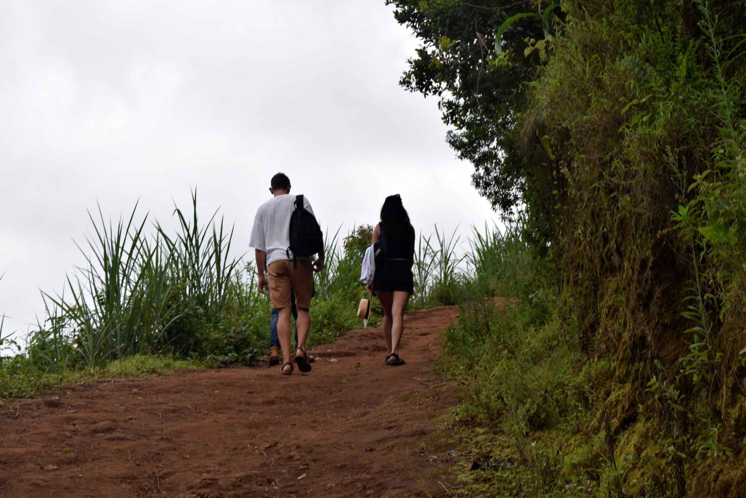 Materuni-waterval en/of Chemka-warmwaterbronnen en/of koffietour