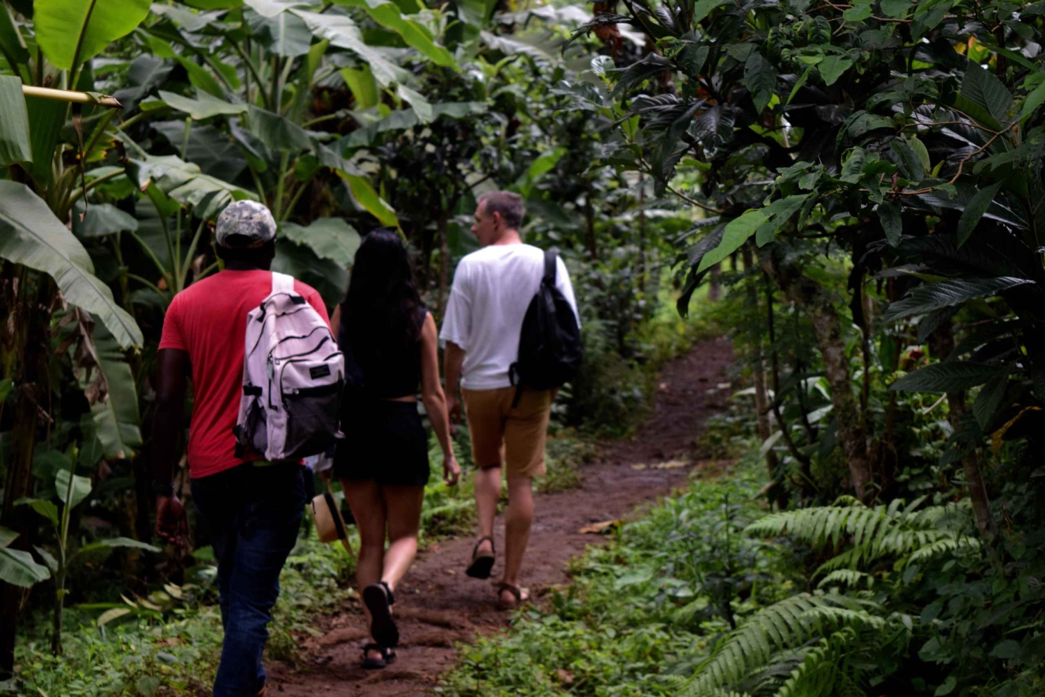 Materuni-waterval en/of Chemka-warmwaterbronnen en/of koffietour