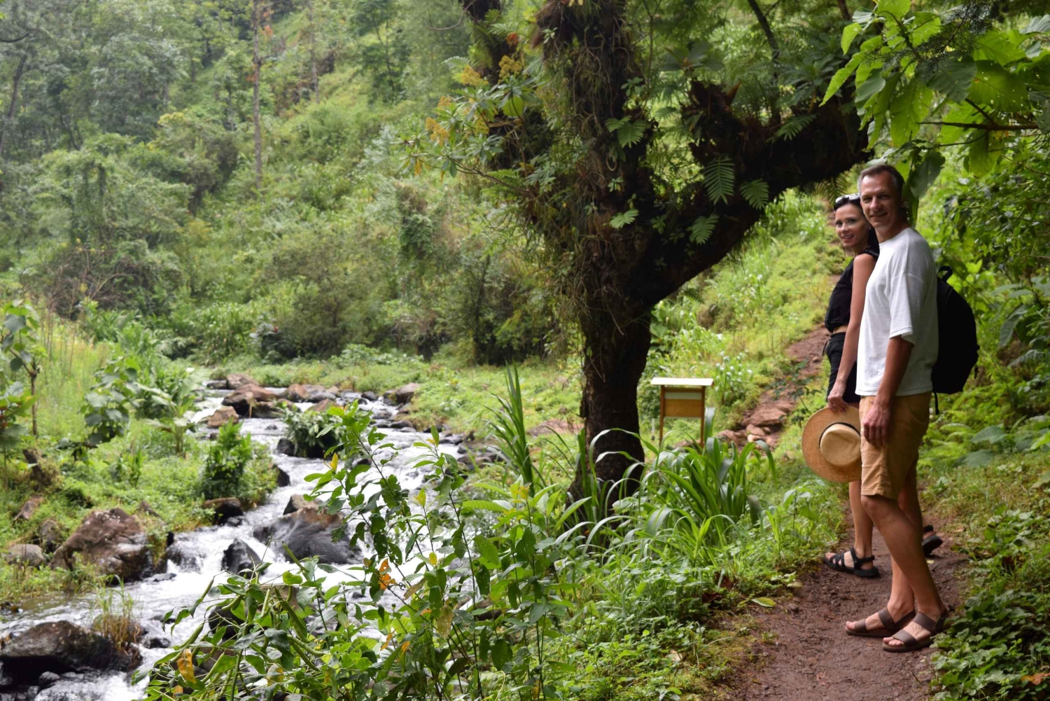 Materuni-waterval en/of Chemka-warmwaterbronnen en/of koffietour