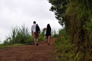 Materuni-waterval en/of Chemka-warmwaterbronnen en/of koffietour