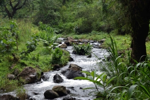 Materuni-waterval en/of Chemka-warmwaterbronnen en/of koffietour