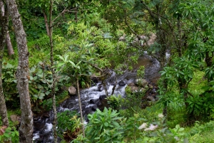 Materuni-waterval en/of Chemka-warmwaterbronnen en/of koffietour