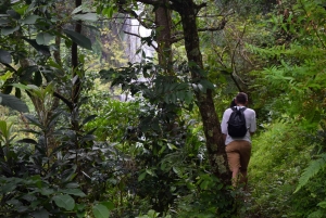 Materuni-waterval en/of Chemka-warmwaterbronnen en/of koffietour