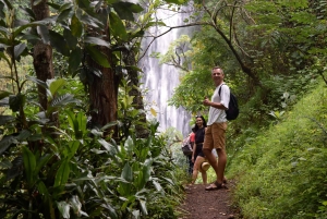 Materuni-waterval en/of Chemka-warmwaterbronnen en/of koffietour