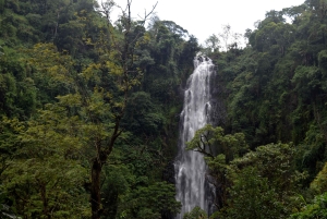 Materuni-waterval en/of Chemka-warmwaterbronnen en/of koffietour