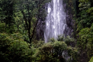 Materuni-waterval en/of Chemka-warmwaterbronnen en/of koffietour