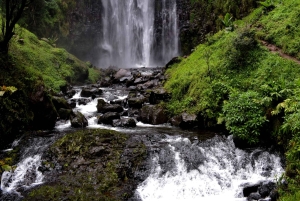 Materuni-waterval en/of Chemka-warmwaterbronnen en/of koffietour