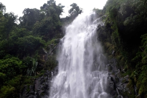 Materuni-waterval en/of Chemka-warmwaterbronnen en/of koffietour