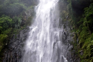 Materuni-waterval en/of Chemka-warmwaterbronnen en/of koffietour