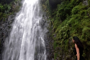 Materuni-waterval en/of Chemka-warmwaterbronnen en/of koffietour